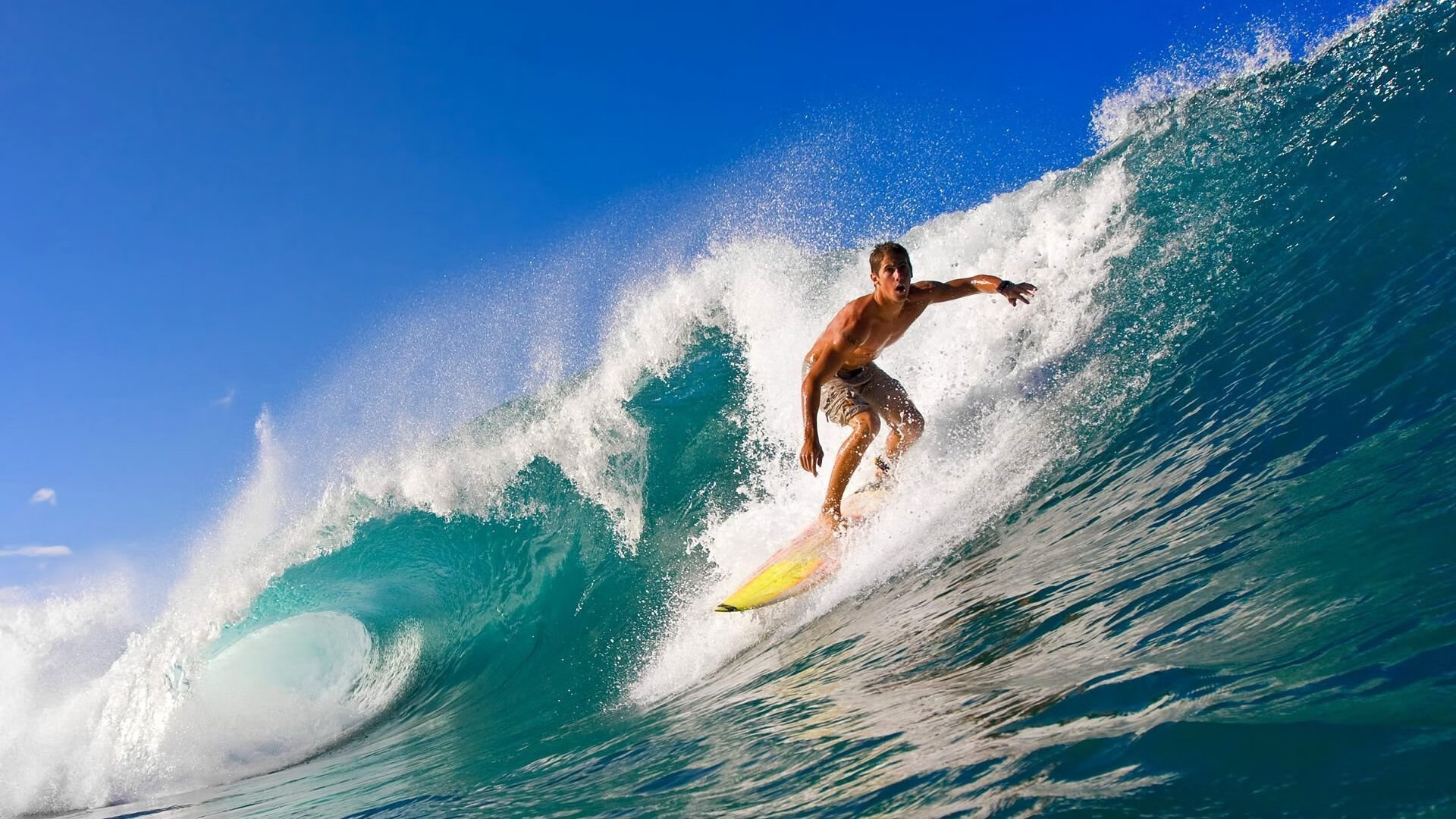 开云APP-光影特技飞跃：夜空中的速度与美学